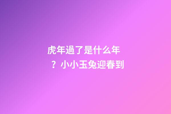 虎年過了是什么年？小小玉兔迎春到